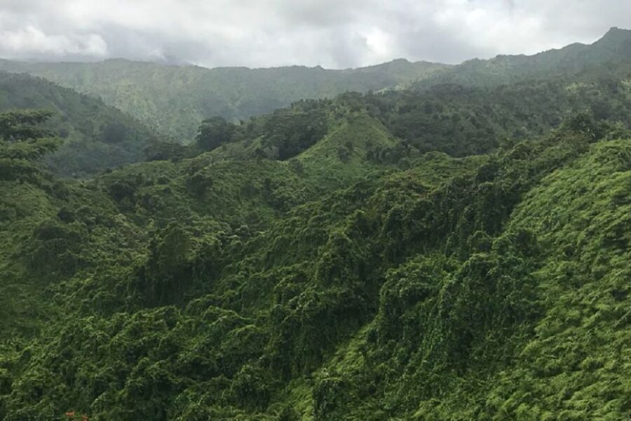 Kauai: Half-Day Kauaʻi Adventure - Price and value: $502 per group up to 4