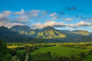Kauai: Highlights & Movie Sites - Small-Group Mini Coach: The Day’s Pace and Comfort