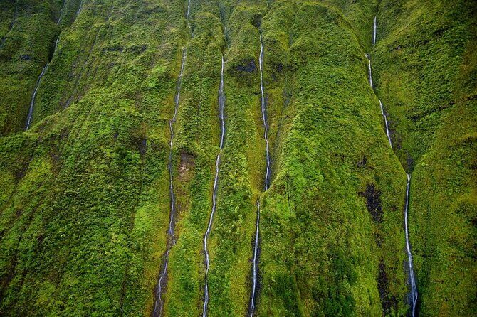 Kauai: Hughes 500 4-Passenger Doors-Off Helicopters - Quick tips that help you enjoy it more