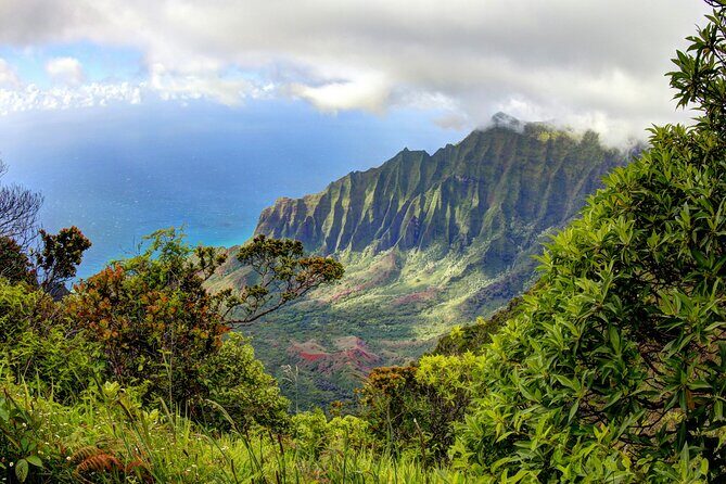Kauai Island Private Guided Tour-Waimea Canyon from Lihue/Kapaa - Pickup From Lihue or Kapaa: Fewer Day-Start Headaches
