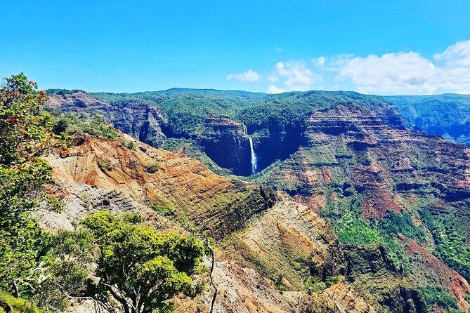 Kauai Island Private Guided Tour-Waimea Canyon from Poipu/Koloa - Stop 5: Kauai Coffee Company—learn how coffee gets made, then sample