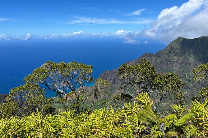 Kauai Island Private Guided Tour-Waimea Canyon from Poipu/Koloa - Private Luxury SUV + in-person guide: how this changes the feel of the day