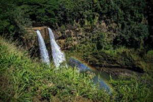 Kauai Island Private Guided Tour-Waimea Canyon from Princeville - Kalalau Lookout: quick altitude, big cliff-and-coast views