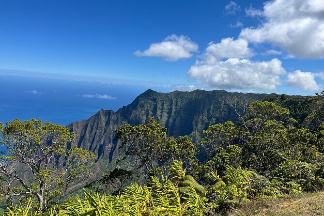 Kauai Island Private Guided Tour-Waimea Canyon from Princeville - Ōpaekaʻa Falls: a short, scenic reset