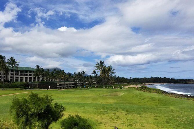 Kauai Island - Private Tour : Waimea Canyon and Southside - Kalalau Lookout and the Napali Coast Connection