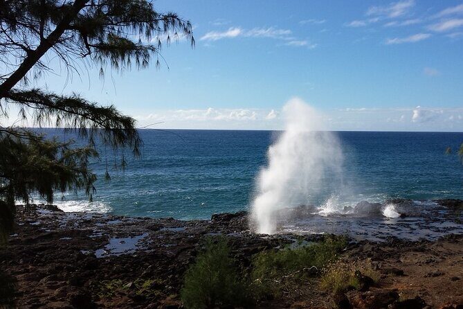 Kauai Island Tour : Journey to Waimea Canyon & More Highlights - Hanapepe Valley Lookout + the swinging bridge: easy time, big payoffs