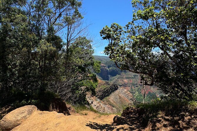 Kauai Island Tour : Journey to Waimea Canyon & More Highlights - Captain Cook’s landing moments: Waimea’s place on the map