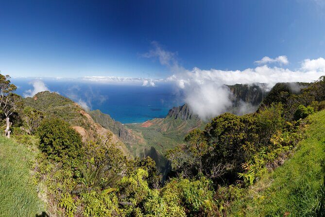 Kauai Island Tour : Journey to Waimea Canyon & More Highlights - Kalalau Lookout at 4,128 feet: a Napali Coast preview from the road