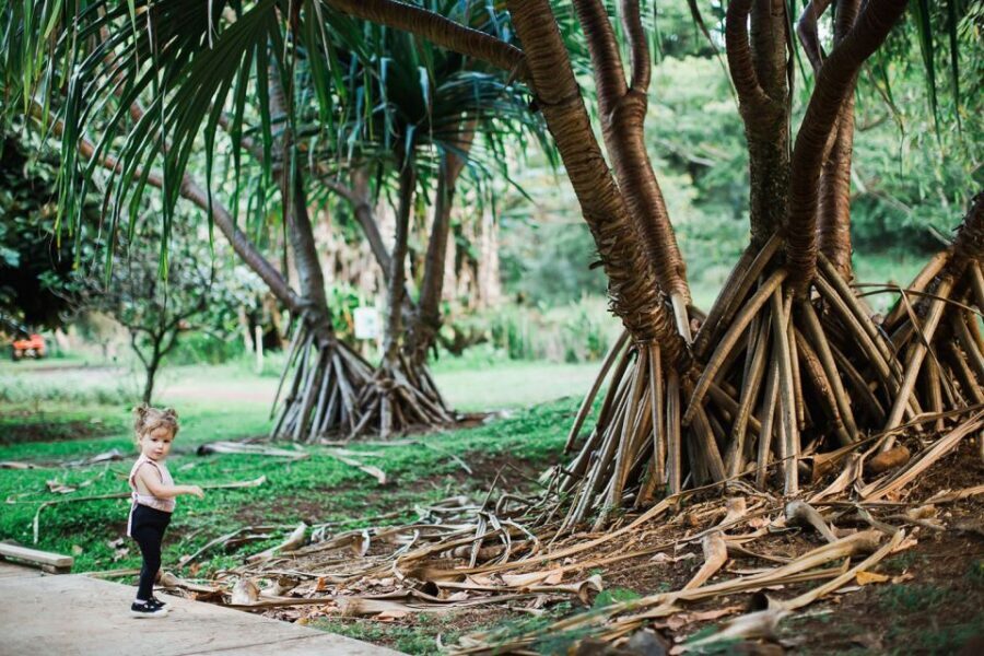 Kauai: McBryde Garden Self Guided Visit - The Living Laboratory: Where Science Still Happens