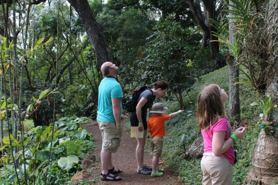 Kauai: McBryde Garden Self Guided Visit - Sights, Sounds, and Small Wildlife Moments