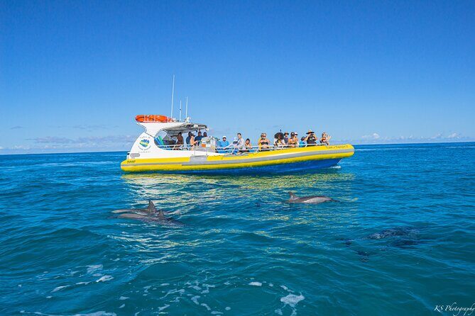 Kauai: Na Pali Coast Super Raft Snorkel Adventure - Stop 2: Niihau (The Forbidden Island) From the Water