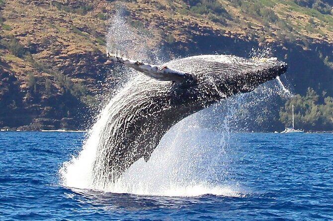 Kauai: Nā Pali Coast Zodiac Raft Expedition and Snorkeling - Ride comfort tips for a bumpy, open-air boat