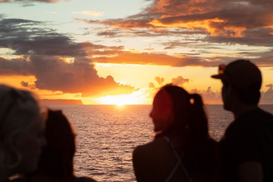 Kauai: Napali Coast Sunset Sailboat Tour with Dinner - Marine Life Chances: Dolphins, Turtles, Seals, and Whales