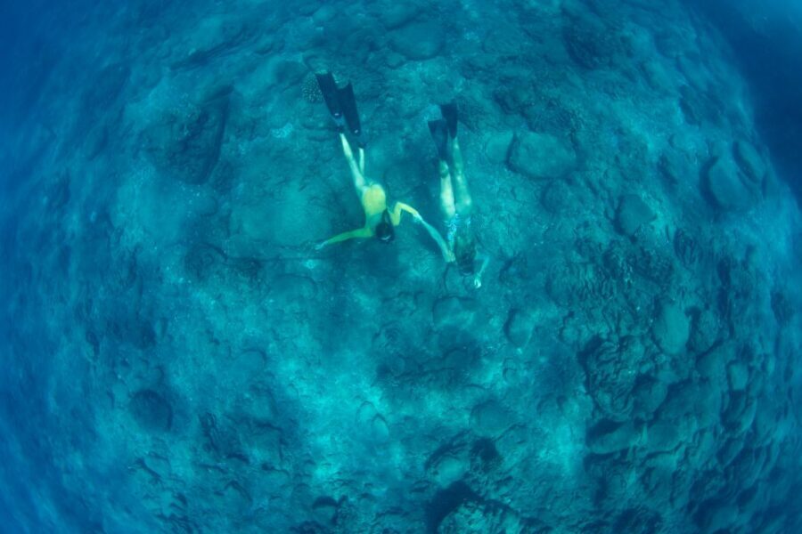 Kauai: Niihau and Na Pali Coast Full-Day Boat Tour - Price and Value: Is $338 Actually Worth It?
