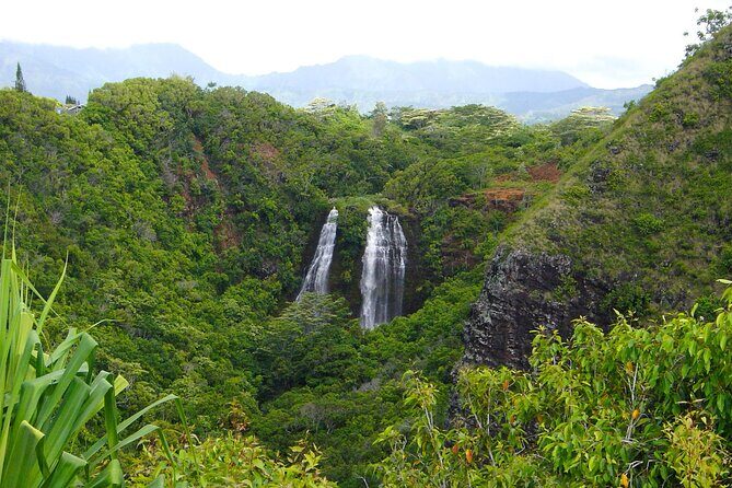 Kauai North Shore Private Guided Tour with Hotel or Port Pick-up - Sleeping Giant Trail: A Short Walk Worth Thinking Through