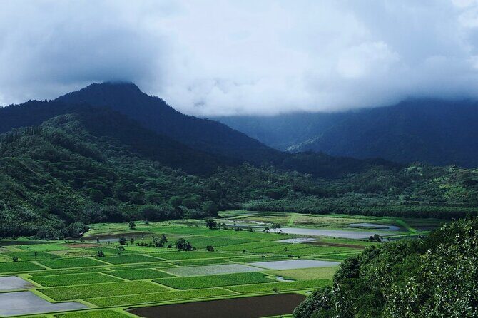 Kauai North Shore Private Guided Tour with Hotel or Port Pick-up - Wailua Falls: The Waterfall Stop That Grounds the Day