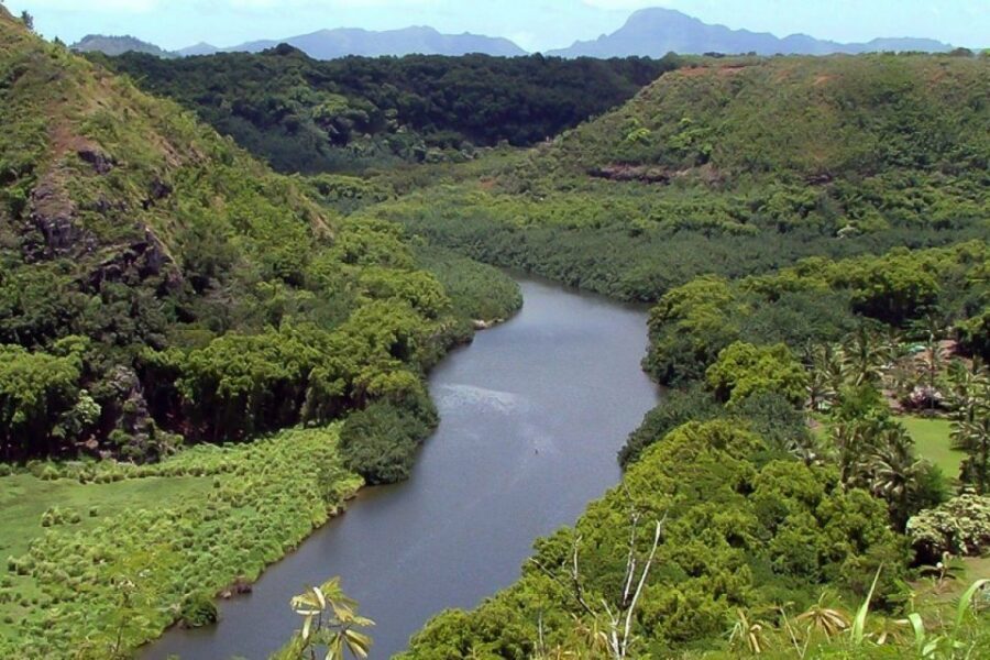 Kauai Northeast Tour, Fern Grotto River Cruise & Lighthouse - Wailua River cruise to Fern Grotto: the day’s main “wow” moment