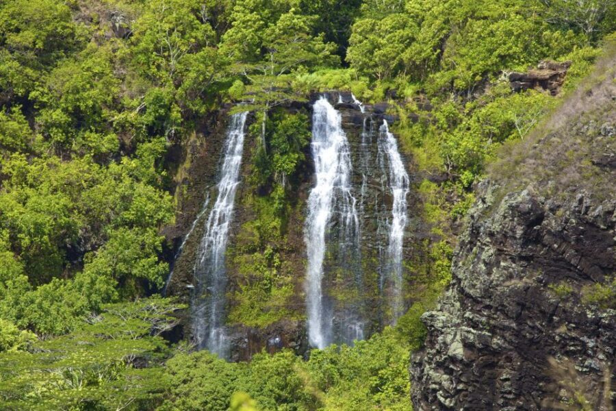 Kauai Northeast Tour, Fern Grotto River Cruise & Lighthouse - Price and value: what $215 buys you (and what it doesn’t)