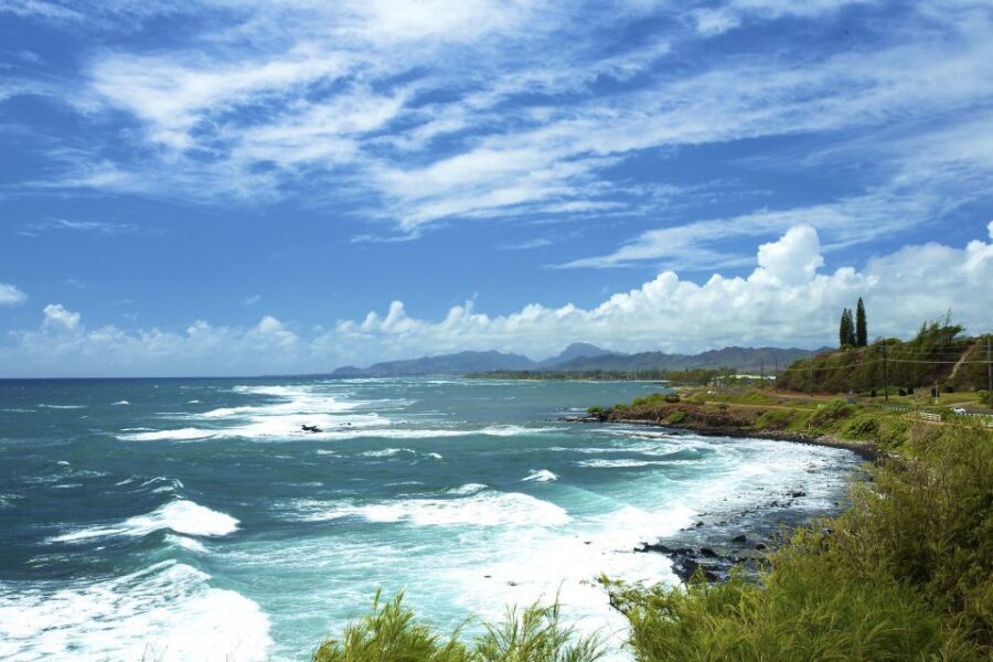 Kauai Northeast Tour, Fern Grotto River Cruise & Lighthouse - Who this tour fits best