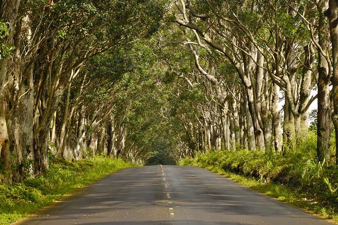 Kauai Poipu and Koloa Town Self-Guided Audio Tour - Who should book this Kauai audio tour