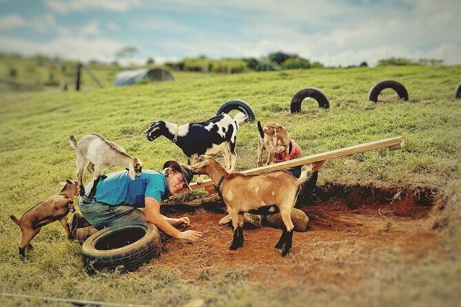Kauai Private Baby Farm Animal Experience & Micro Dairy Immersion - Key highlights