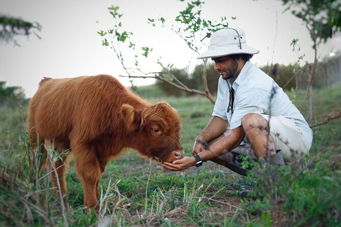 Kauai Private Baby Farm Animal Experience & Micro Dairy Immersion - Kauai baby farm vibes with real micro-dairy work