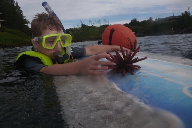 Kauai Private Group Snorkel Tour with Sea Turtles - Who this Kauai private turtle snorkel fits best