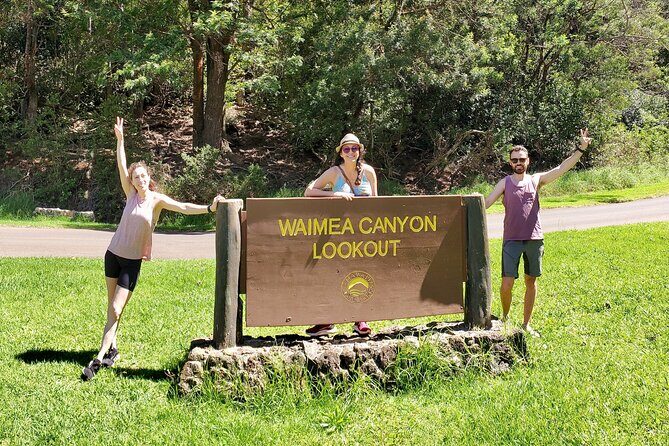 Kauai Private Guided Tour to Waimea Canyon from Nawiliwili - Key moments worth planning around