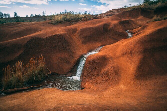 Kauai Private Guided Tour to Waimea Canyon from Nawiliwili - Koke’e State Park and Koke’e Lodge: the meal break that keeps the day sane