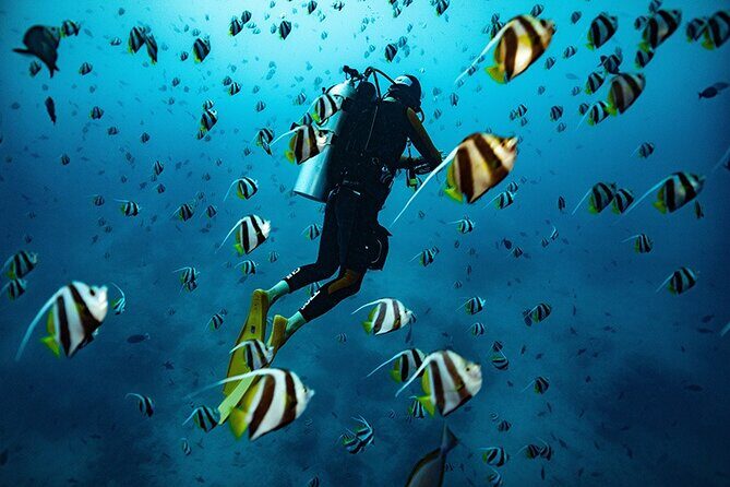 Kauai Scuba Diving for Beginners - Key details that matter before you go