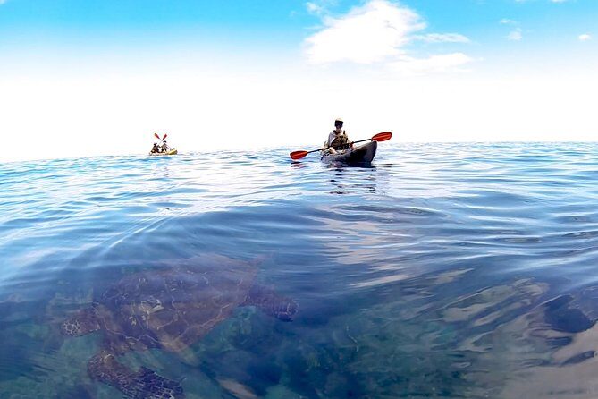 Kauai Sea Kayaking 10 mile tour - Na Pali Iki (Polihale to Milolii) - Key things I’d put on your radar