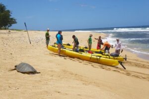 Kauai Sea Kayaking 10 mile tour - Na Pali Iki (Polihale to Milolii) - The 6:00 am Kapaʻa start: timing and meeting point tips