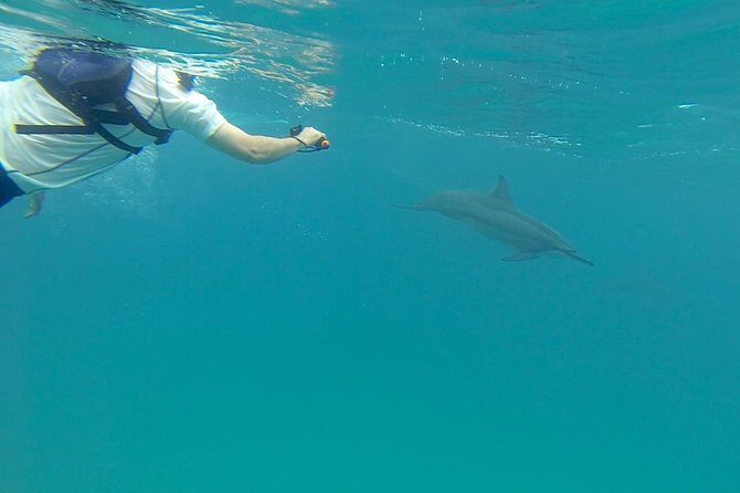 Kauai Sea Kayaking 10 mile tour - Na Pali Iki (Polihale to Milolii) - Shallow caves, hanging valleys, and secluded beaches along the Southwest Na Pali coast