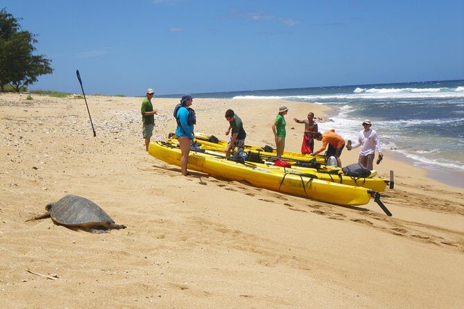 Kauai Sea Kayaking 10 mile tour - Na Pali Iki (Polihale to Milolii) - The 6:00 am Kapaʻa start: timing and meeting point tips