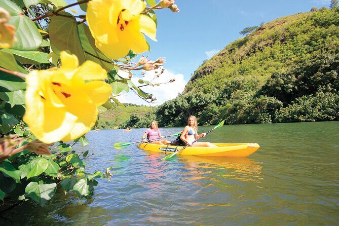 Kauai: Secret Falls Kayak and Hike - Wailua River State Park: Wildlife, Plants, and a Guided Pace