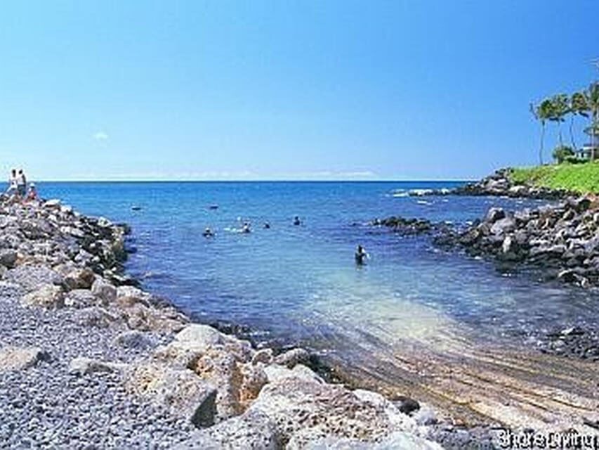 Kauai: Shore Diving at Koloa Landing, Poipu - What You’ll Actually See: Turtles, Moray Eels, Octopus, and More