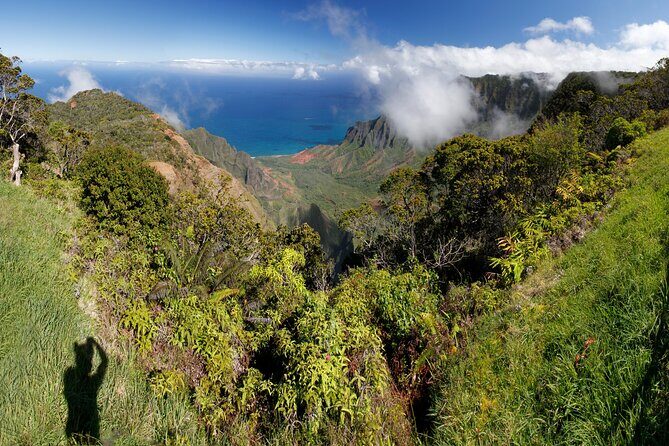 Kauai Shore Excursion - Waimea Canyon Adventure Tour - Nawiliwili - Key things that make this tour work