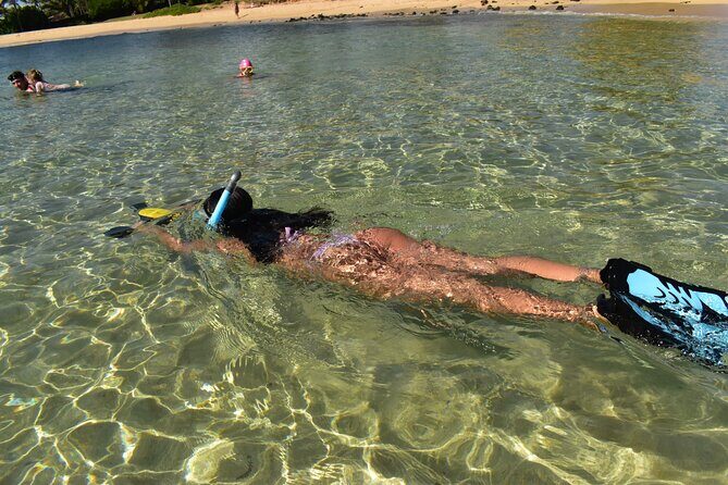 Kauai Snorkeling Adventure - Anini Beach: shallow water comfort, plus the crowd factor