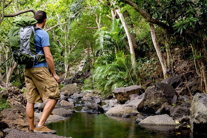 Kauai Wailua Valley & Waterfalls Audio Driving Tour - Navigation, parking, and phone reality checks that matter