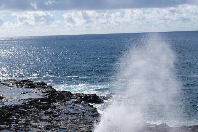 Kauai Waimea Canyon and Koke'e Tour - Kokee State Park: The Easy Nature Walk That’s Actually Worth It