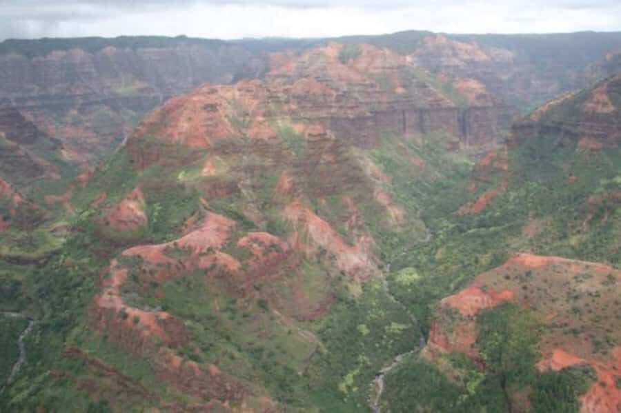 Kauai: Waimea Canyon and Waterfall Adventure Day Tour - Key Things That Make This Tour Work
