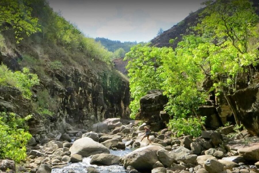Kauai: Waimea Canyon & Kokeʻe State Park Private Tour - What to Bring: Canyon Sun, Canyon Cool, and Canyon Bugs