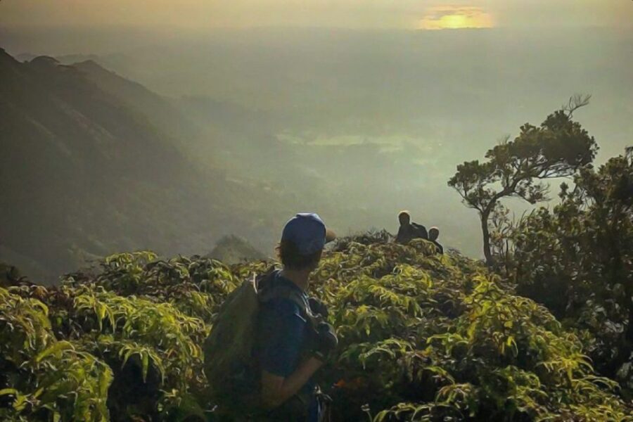 Kauai: Waimea Canyon & Kokeʻe State Park Private Tour - What You’re Really Getting at Waimea and Kōkēʻe