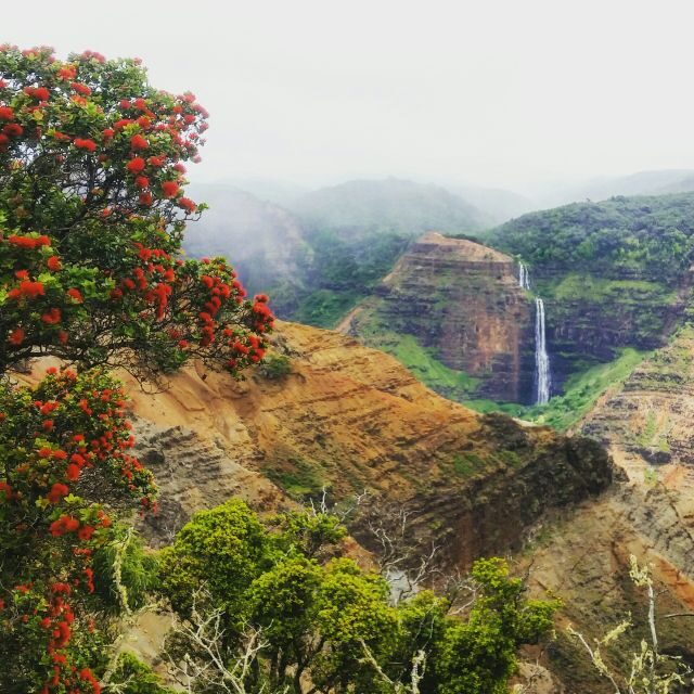 Kauai: Waimea Canyon & Kokeʻe State Park Private Tour - Na Pali Coast Views from Over 4,000 Feet