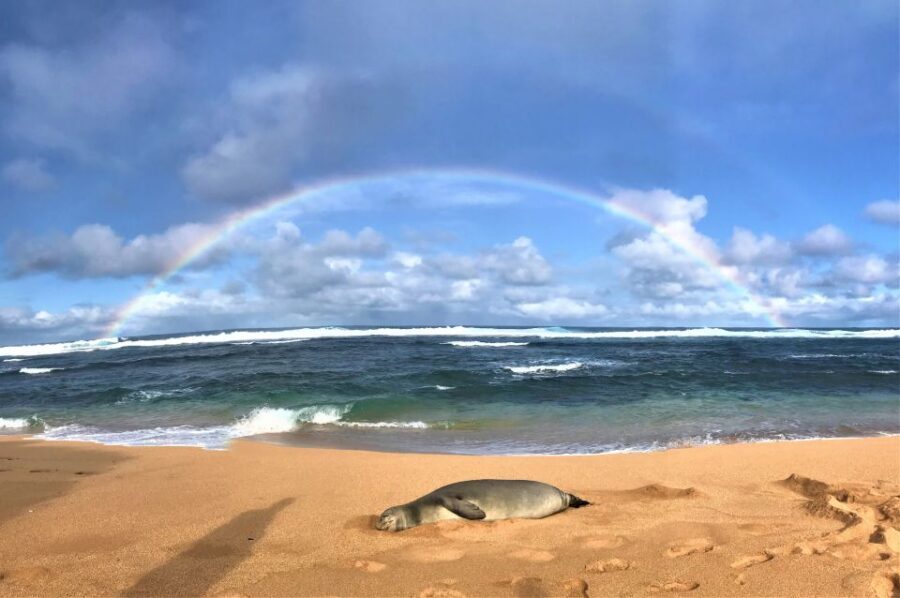 Kauai: Waimea Canyon & Kokeʻe State Park Private Tour - What’s Included vs. What You Must Plan for Yourself