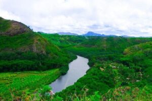 Kauai Waimea Canyon, Wailua River Boat and Fern Grotto Tour - Pickup, timing, and why the bus time adds up