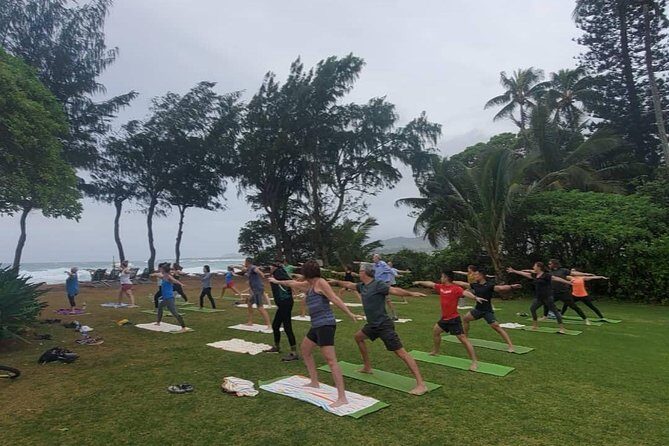 Kauai Yoga on the Beach - Meeting Points That Actually Matter: Find the Shaded Tree