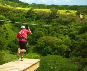 Kauai: Zipline Adventure - 5-Line vs 8-Line: Pick Your Comfort Level and Your Thrill