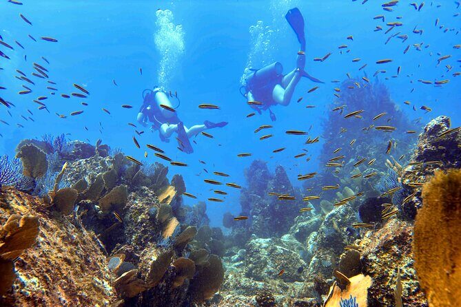 Kauai's Exclusive Morning Scuba Charter for Experienced Divers - A South Shore Morning That’s Built for Real Skills