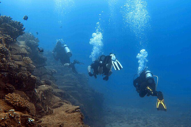 Kauai's Exclusive Morning Scuba Charter for Experienced Divers - Included Comforts That Make Saltwater Mornings Easier